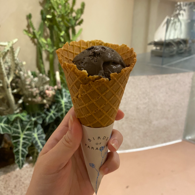 Midnight Guanuja + Thyme Cone 