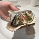 Donegal Majestic Oysters N°2
