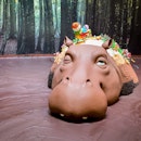 #Chocolate #hippo.