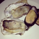 Oysters.