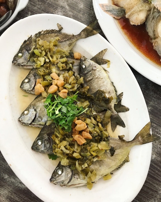 Steamed White-Spotted Rabbitfish ($25)