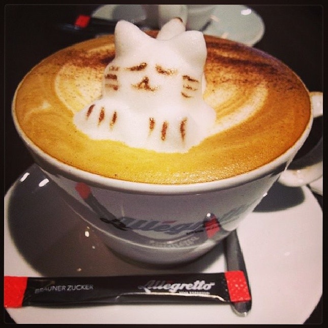 #cute #cat #coffee #hongkong #cafe #asia #iphoneonly #instagram @allegretto @menka9 @renudalani