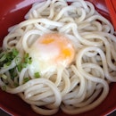 For Delicious Udon Dinners