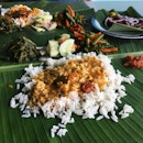 For Solid Banana Leaf Rice