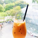 Cooling down with a glass of Thai Iced Milk Tea on a scorching hot day!