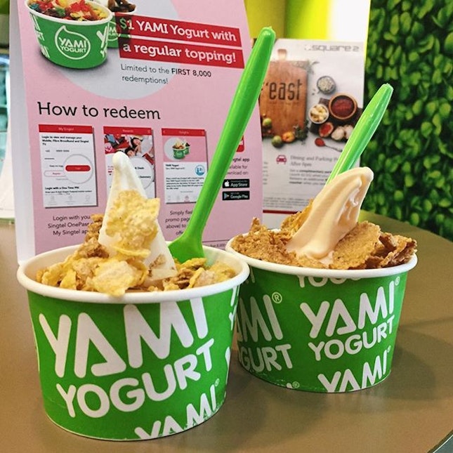 Image result for yami yogurt
