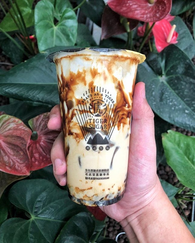 [City Hall] The most enjoyable thing about their Brown Sugar Boba and Pearls with Cream Mousse ($5.30) is probably the richer flavour of the full cream milk they use, compared to other bubble teas.