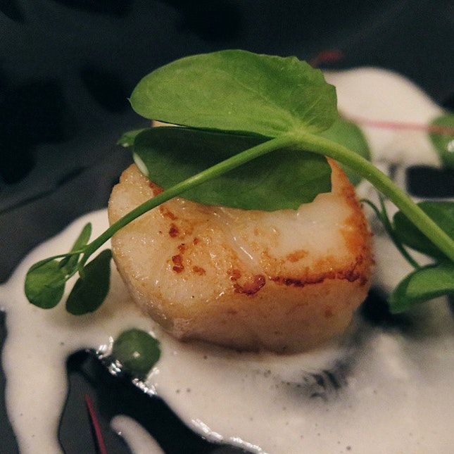This scallop is so beautifully cooked it's almost a crime to ever eat it in one bite.