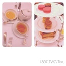 Spoiling ourselves with a lovely afternoon tea !