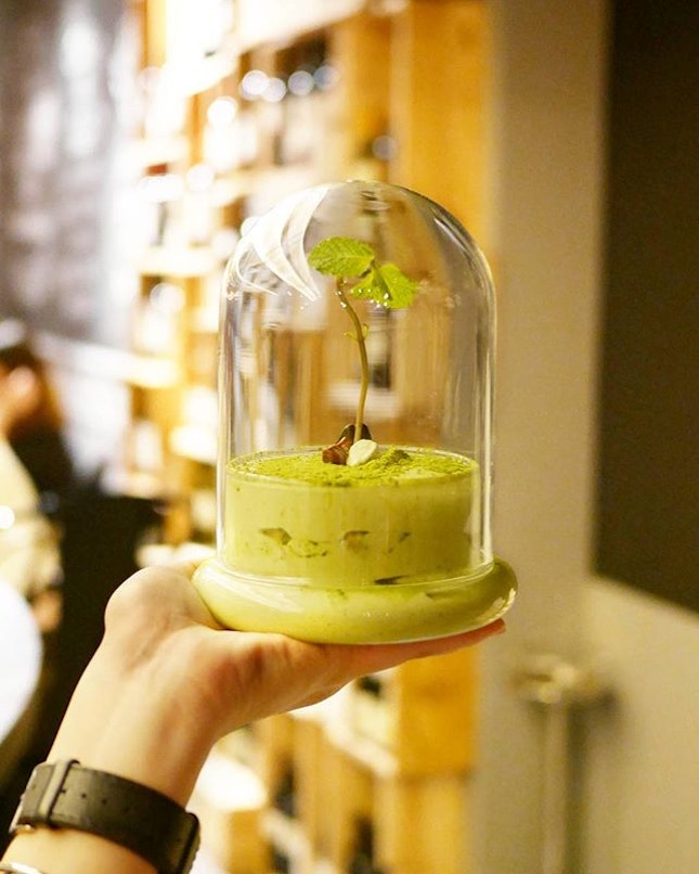 Nothing reminds me of Beauty & the Beast more than this matcha-misu in a glass.