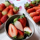 Premium Korean Strawberries