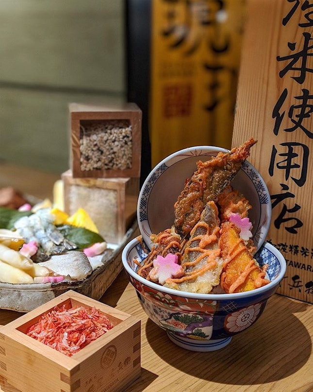 Best of Spring Harvests in a Bowl~ Kohaku Tendon  will launch their Spring Bowl ($18) tmr, 4 Mar!