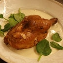 Creamy Roasted Chicken