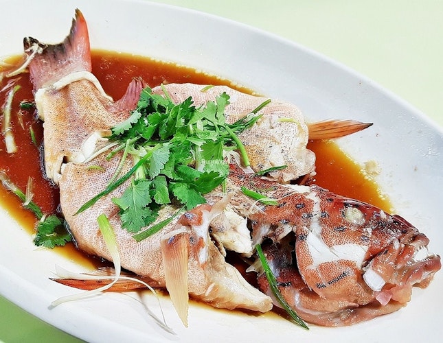 Steamed Red Spotted Grouper Hong Kong Style (SGD $6.10 for 100g, $48.80 for 800g) @ Hong Kong Chef's Kitchen.