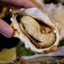 How much oyster is too much?