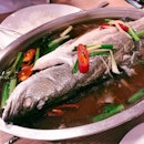 Thai style steamed grouper ($12.90) • best deal I’ve found so far with both sides of the fish.