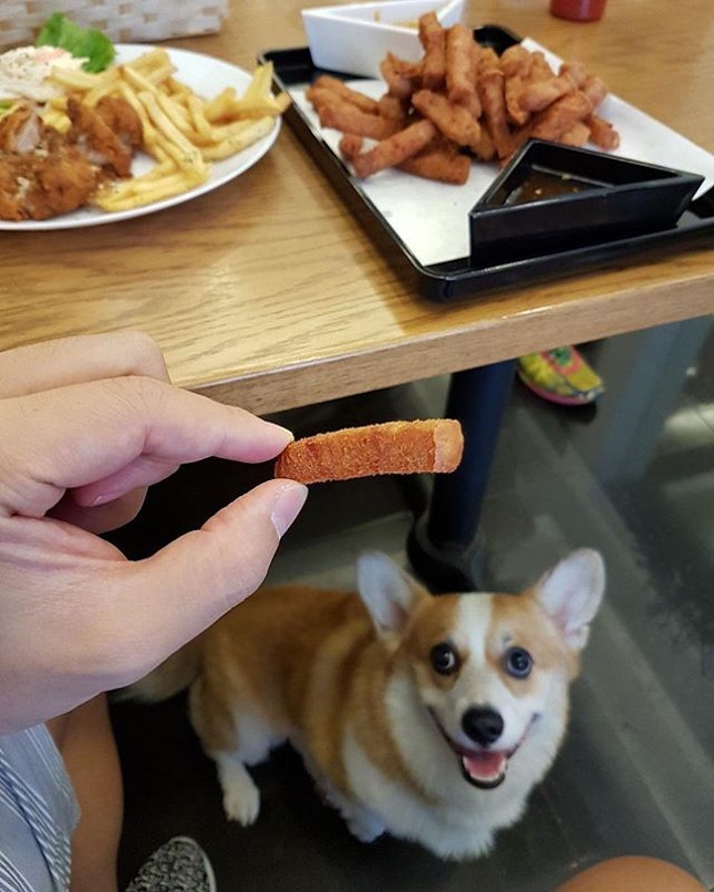 Look at that spam fries!