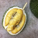 Red Prawn Durian ($15/kg, July 17th 2017)