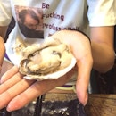 $1.8 Fresh And Huge Canada Oyster