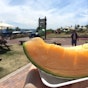 Melon House
