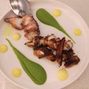 Grilled Octopus 27++