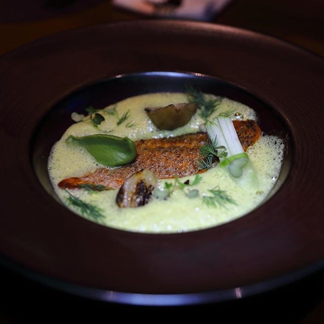 [The Spot] - The Pan Fried Red Snapper ($28) has an Thai influence to it with the green curry emulsion.