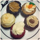 Mini Cupcakes :)