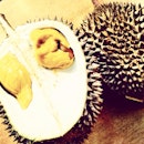 Butter Durian :P