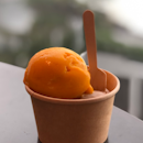 mango sorbet & chestnut rum ice cream ($8)